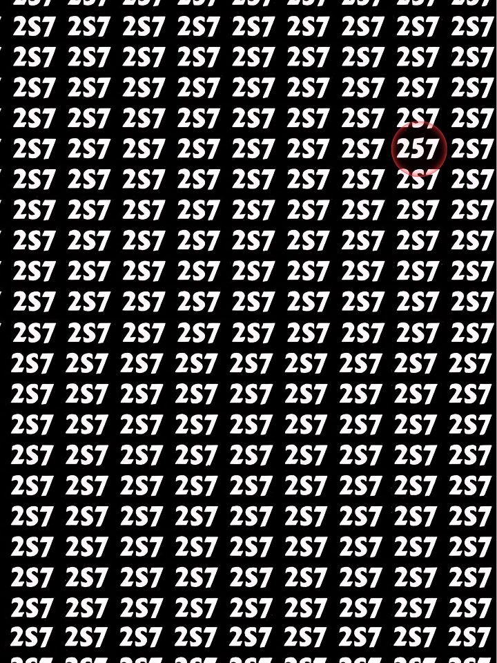 Hidden Number 257 