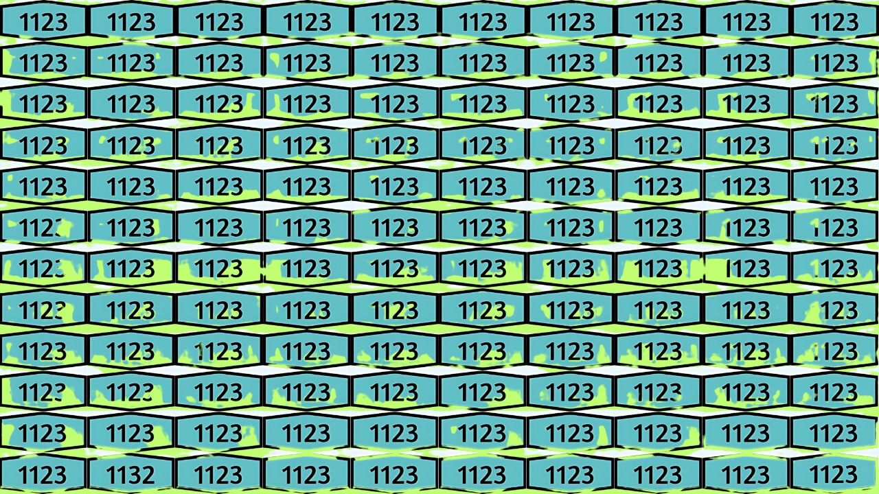 Hidden Number 1132