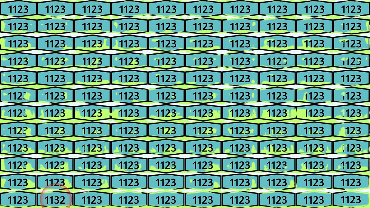 Hidden Number 1132