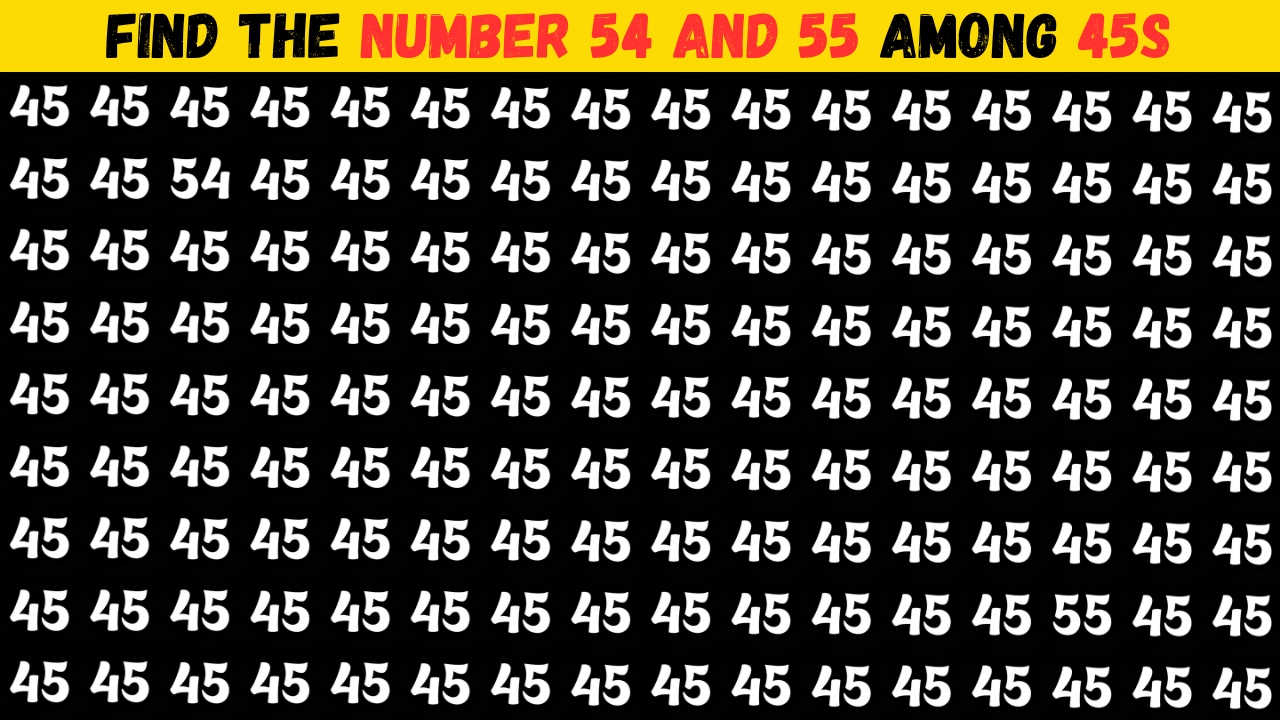 Find the Number 54 and 55