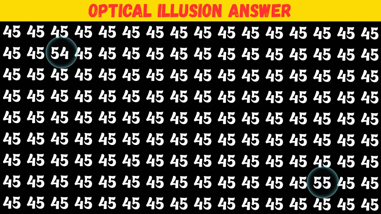 Find the Number 54 and 55