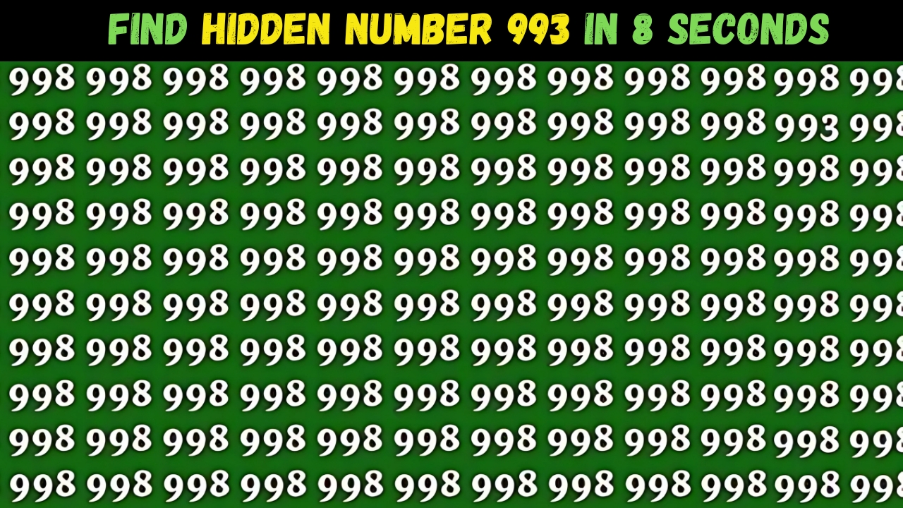 Find Hidden Number 993