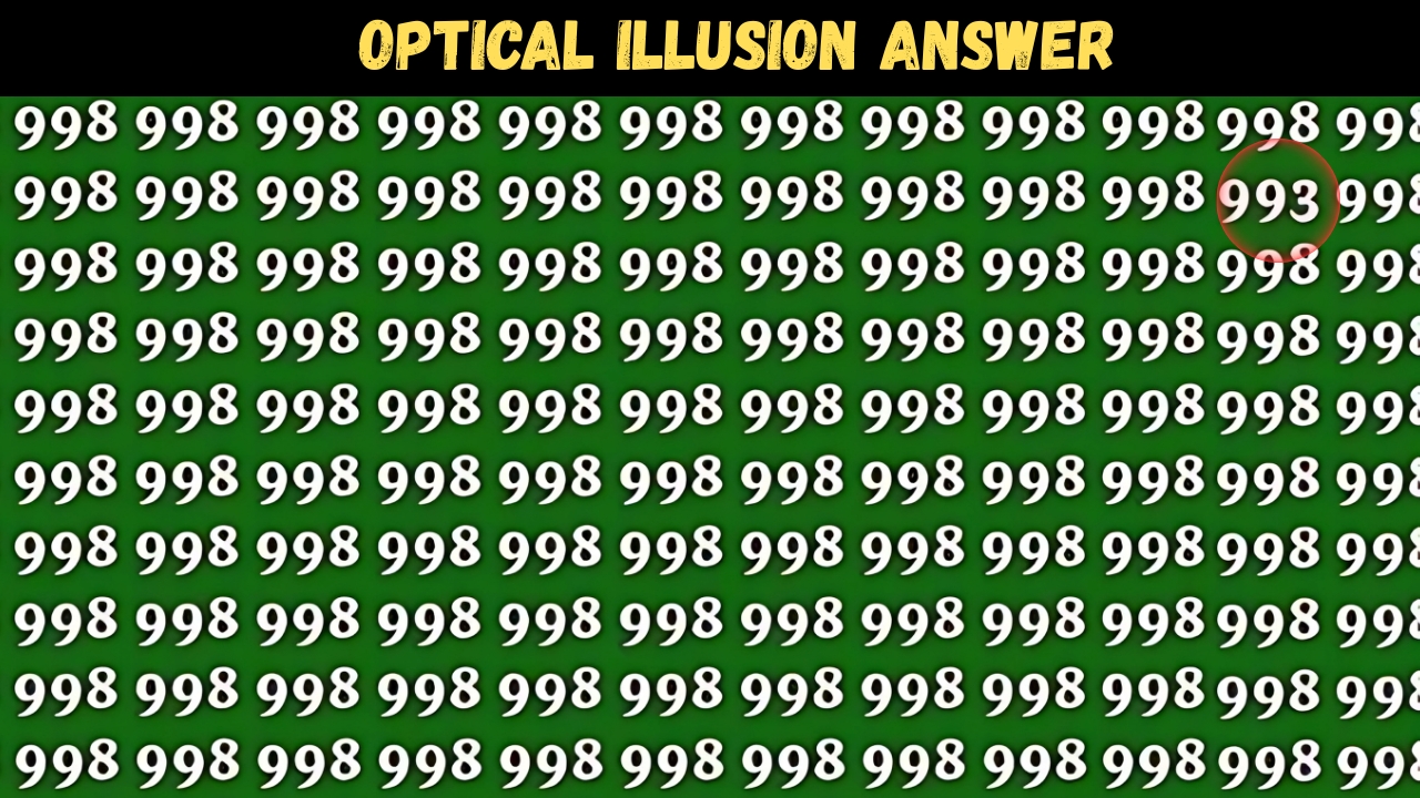 Find Hidden Number 993