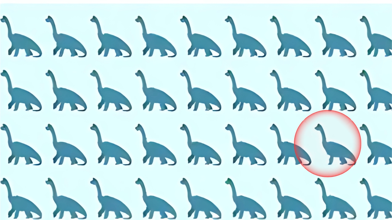 dinosaur