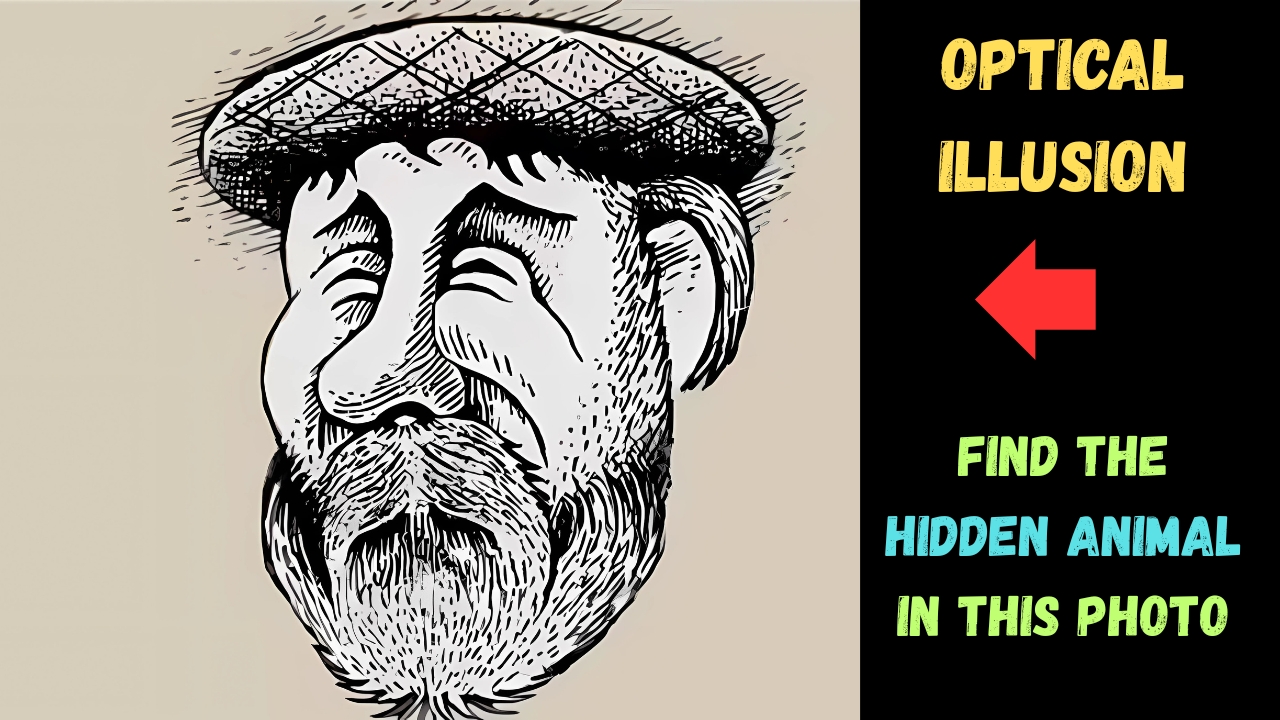 Hidden Animal